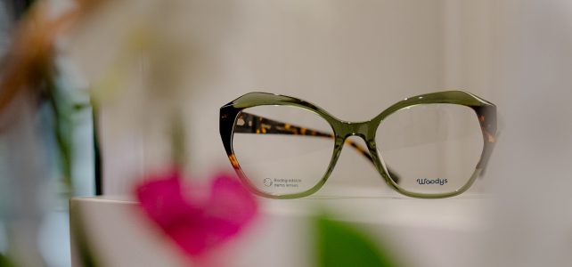 Rame pentru ochelari Rame pentru ochelari - Cabinet oftalmologic Optica Dr Pirga Slobozia